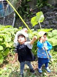 2505月写真11